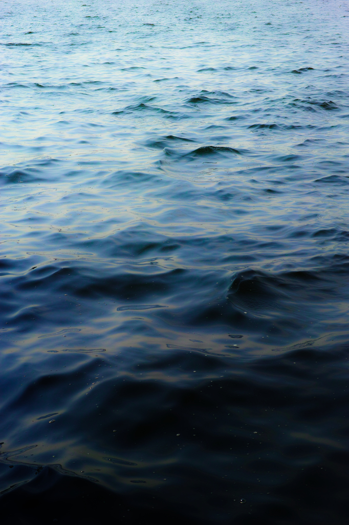 さざめく海面