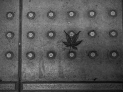 不規則な一片