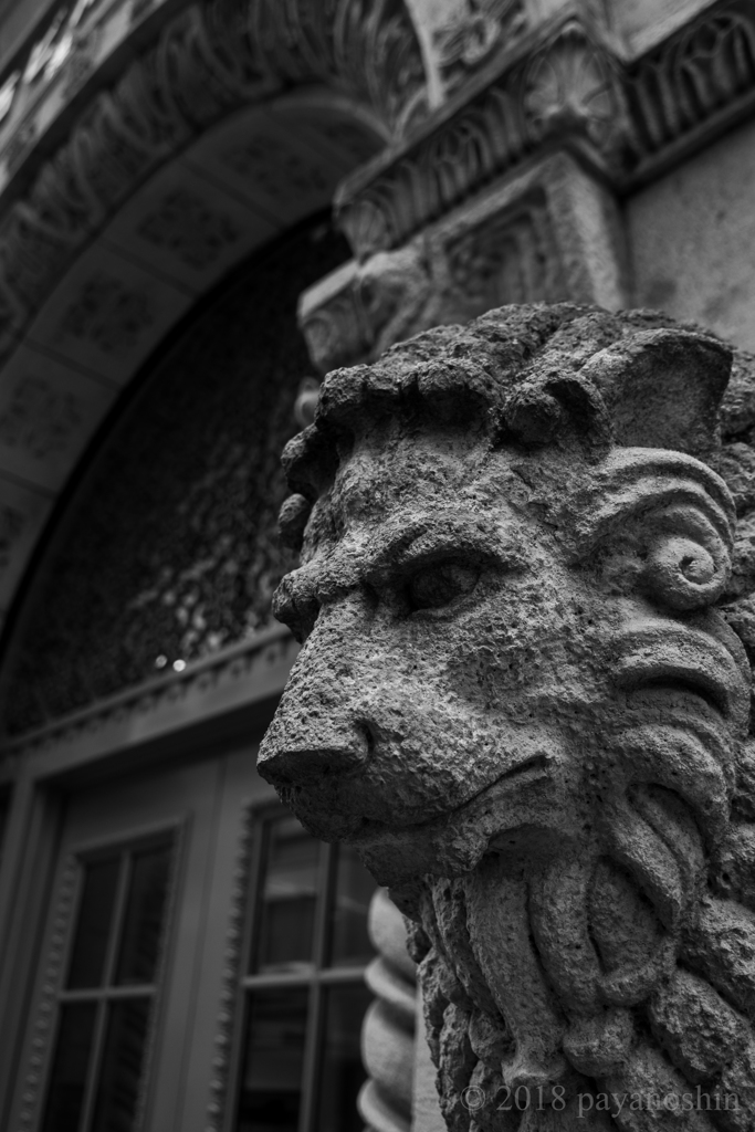 The king of beasts