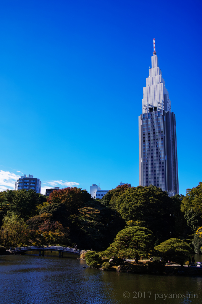 青空と庭園