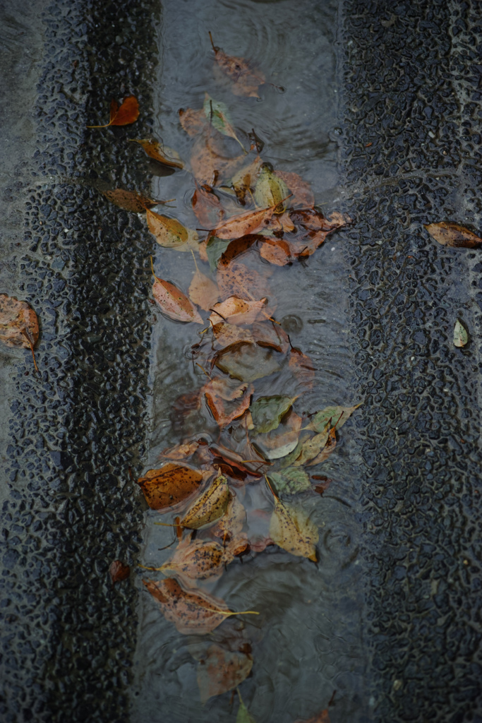 急に雨