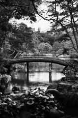 橋のある庭園の眺め