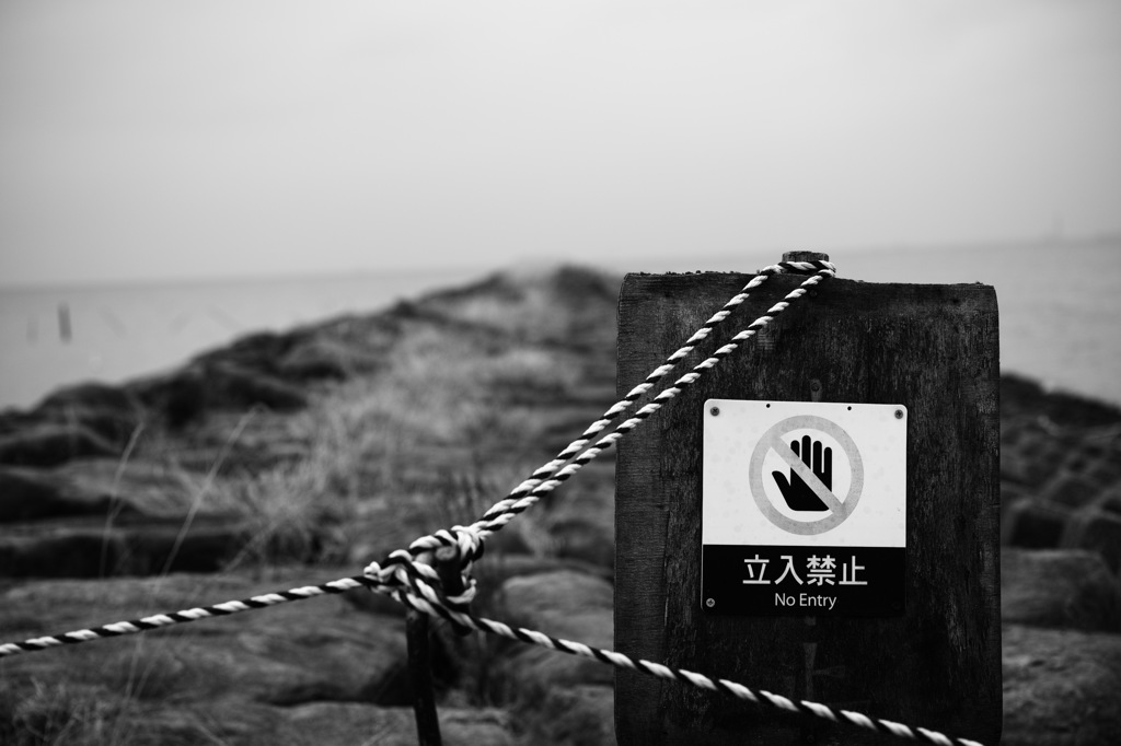 その先に