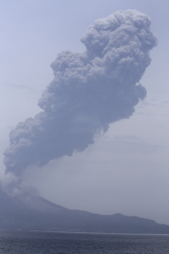 桜島爆発