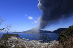 2月の桜島
