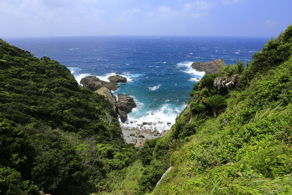 蒼い海