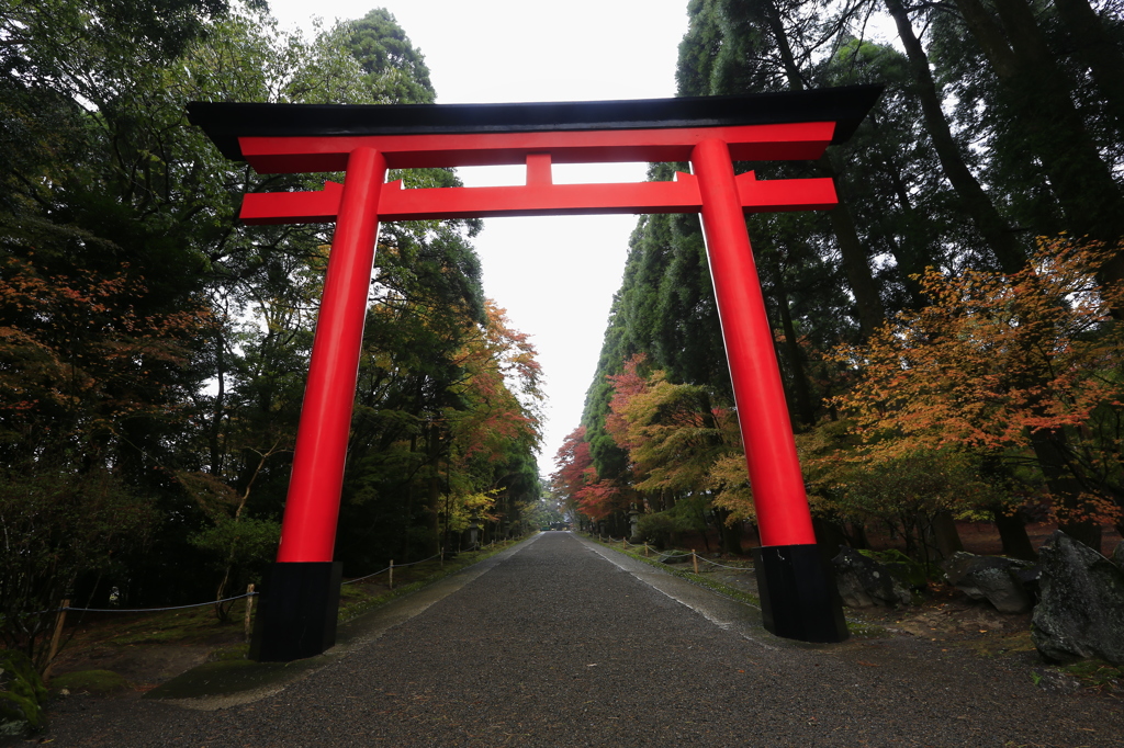 紅葉道