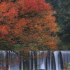 隠れた紅葉
