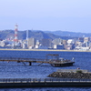 桜島フェリーから市街地を眺める