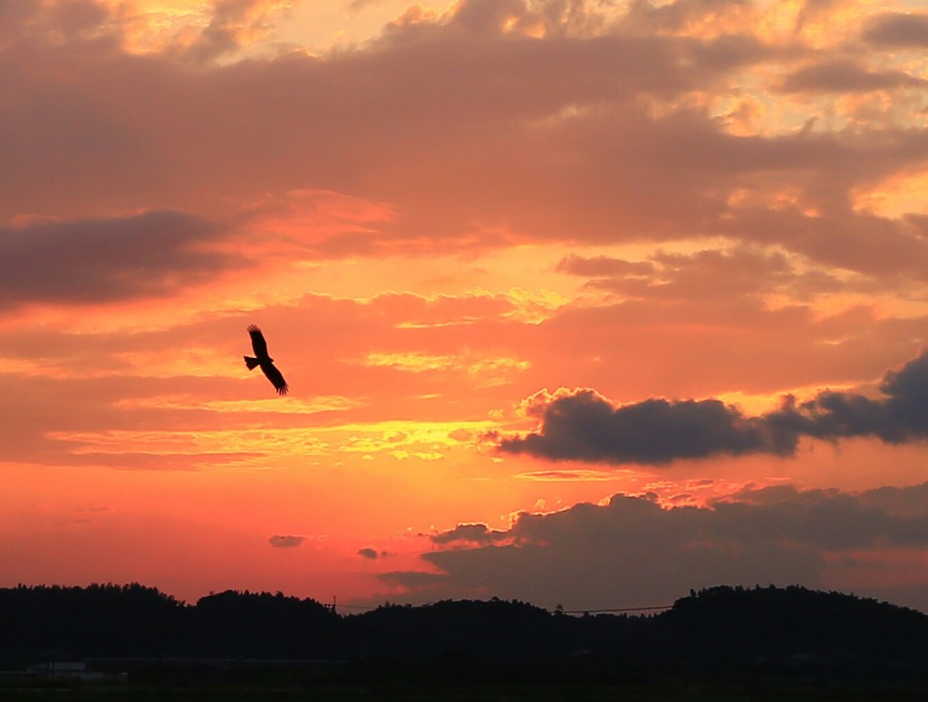 9/22 夕景