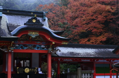 霧島神宮の紅葉風景