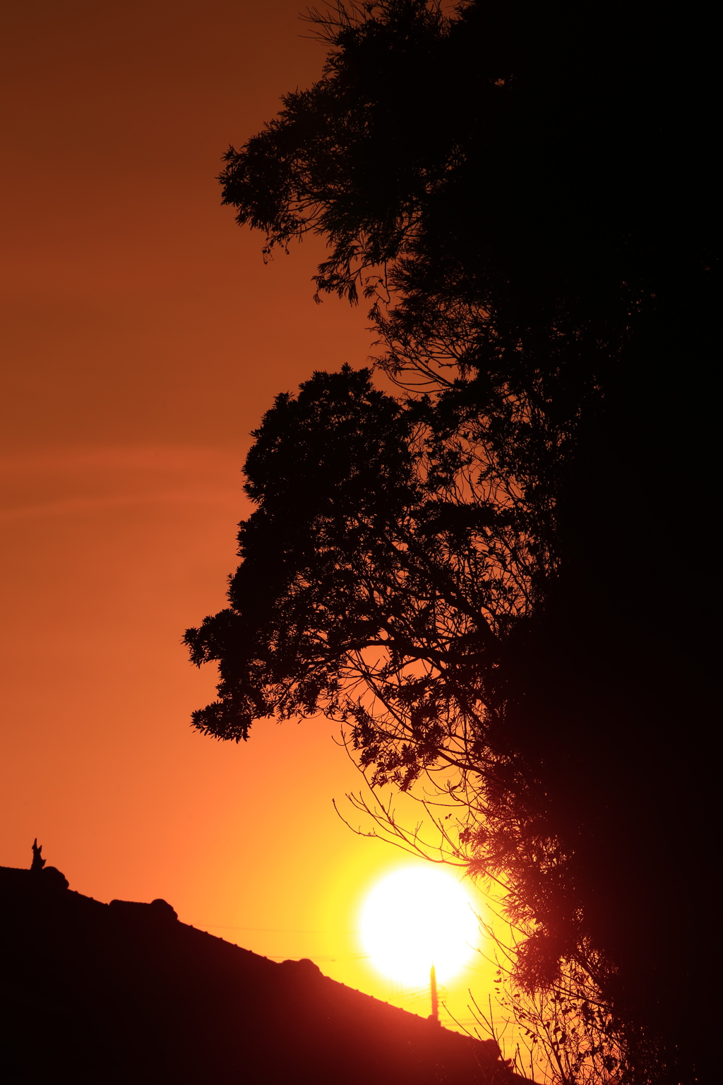 身近な場所の夕景シルエット