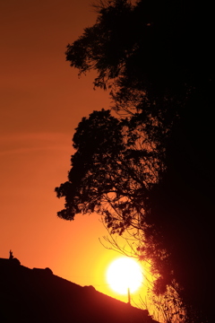 身近な場所の夕景シルエット