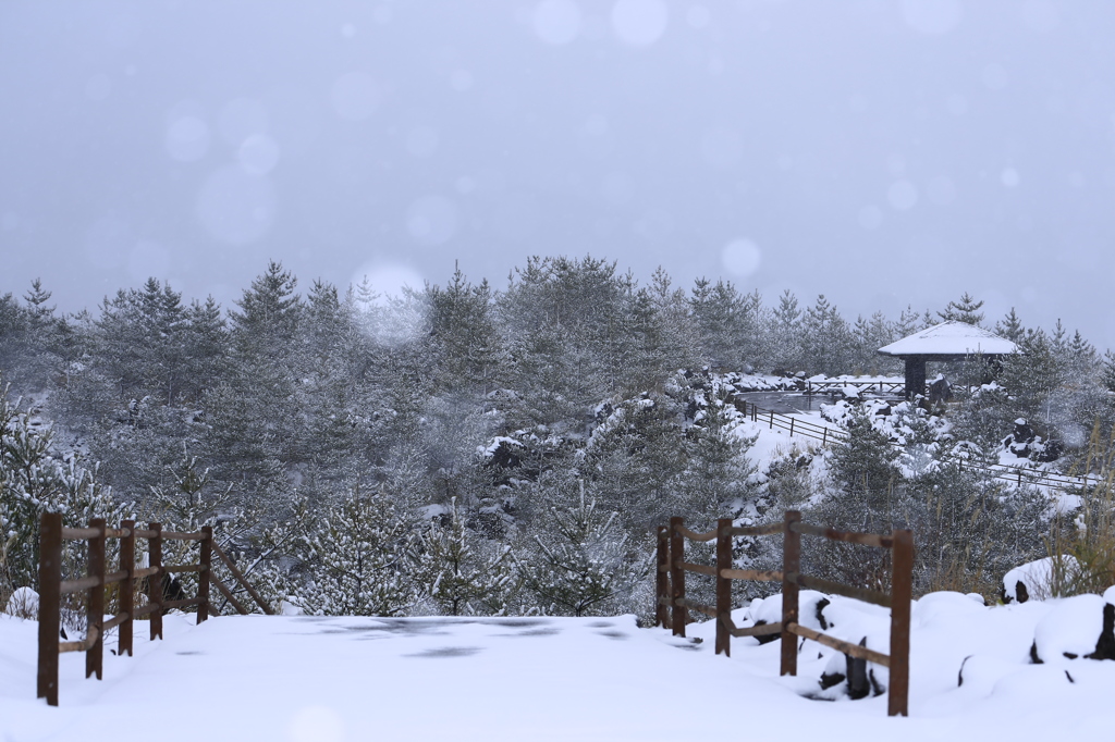 有村溶岩展望所の雪景色