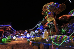 イルミ庭園