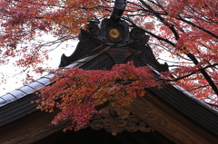 日本美