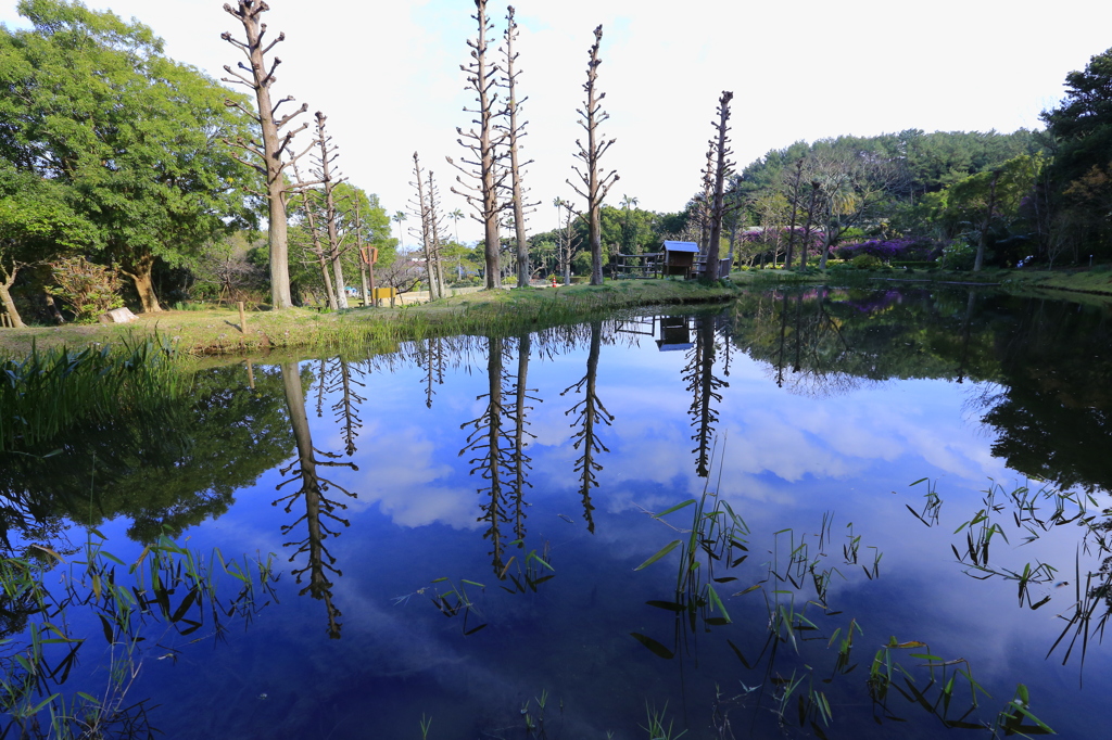 水鏡の魅せる空