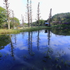 水鏡の魅せる空