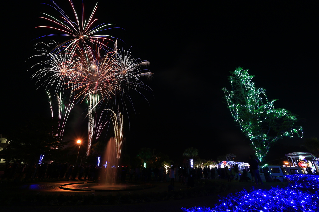 志布志鉄道記念公園の花火