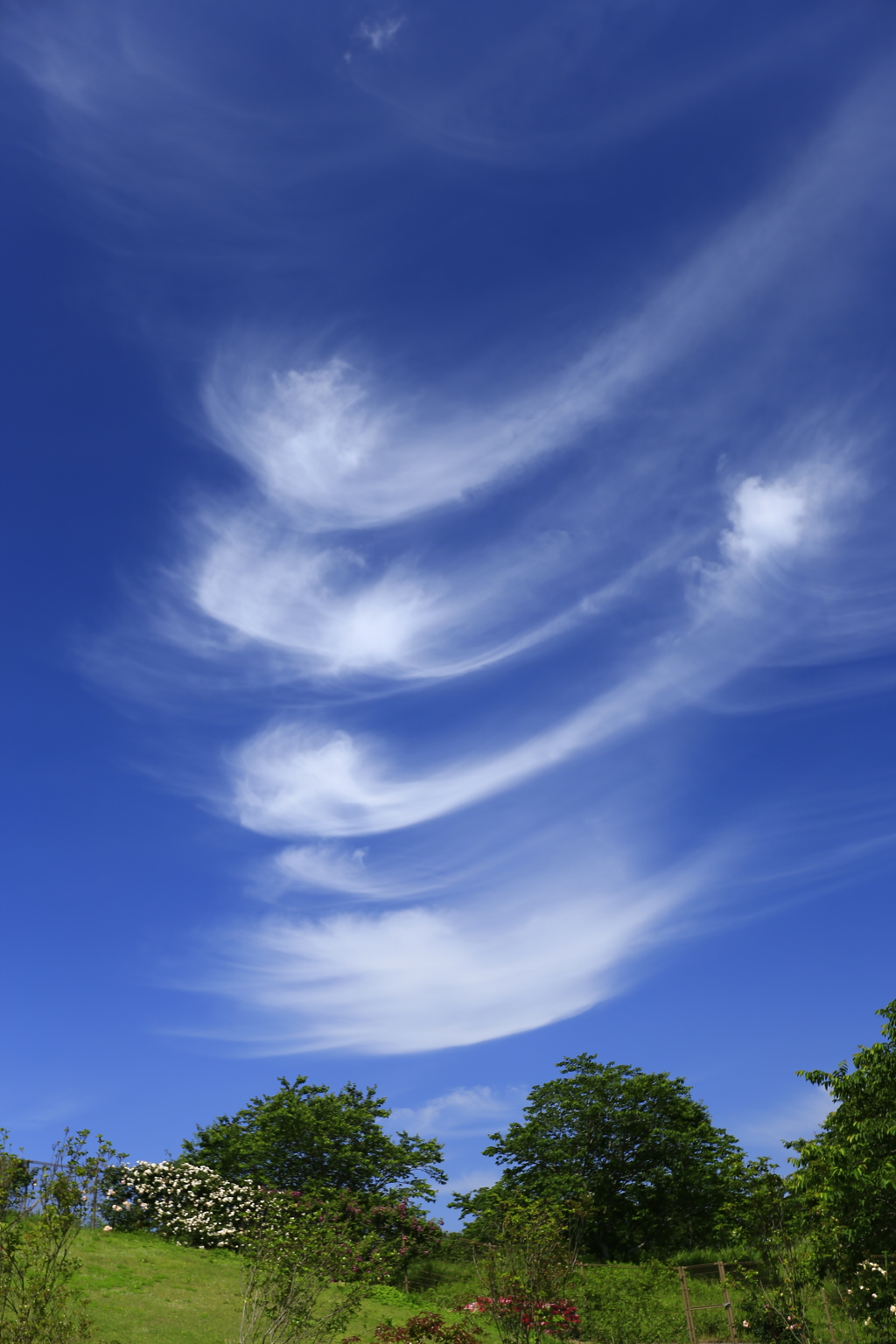 風のような雲