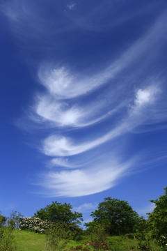 風のような雲