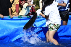 渾身のつかみ取り
