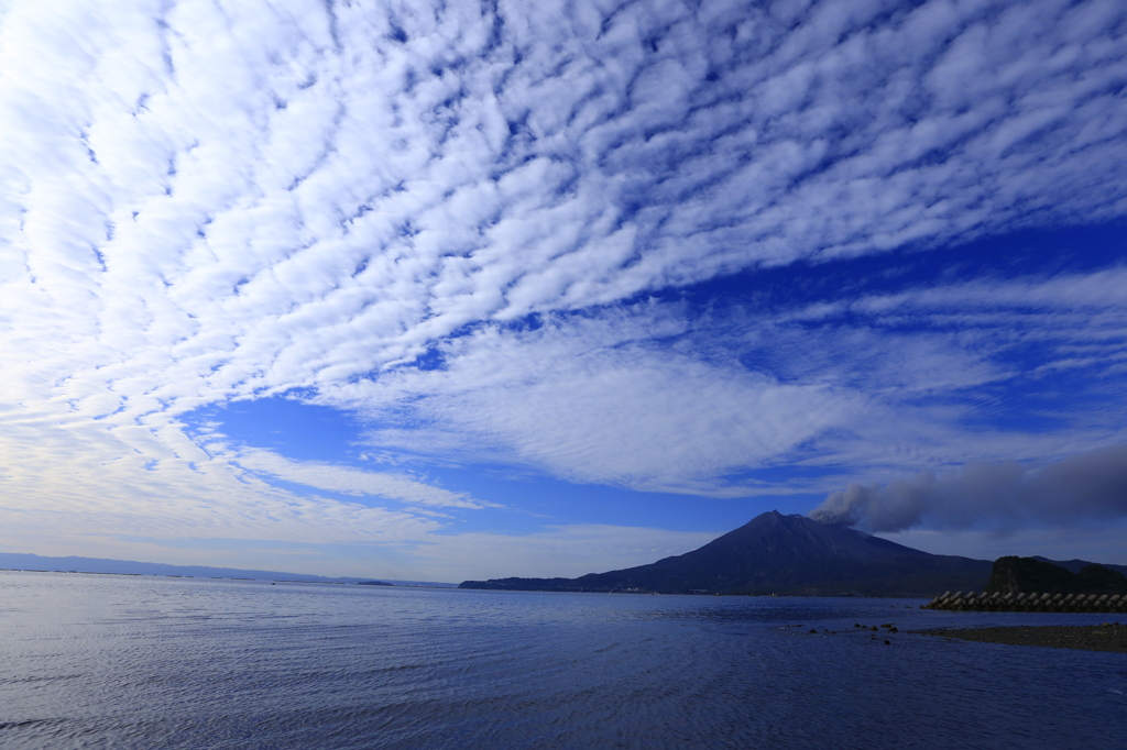 桜島と鱗雲