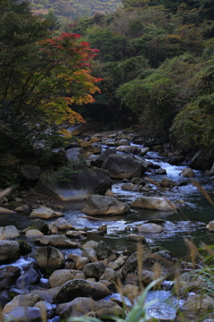 はじまる紅葉