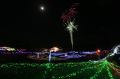 夜に咲く一輪のばら
