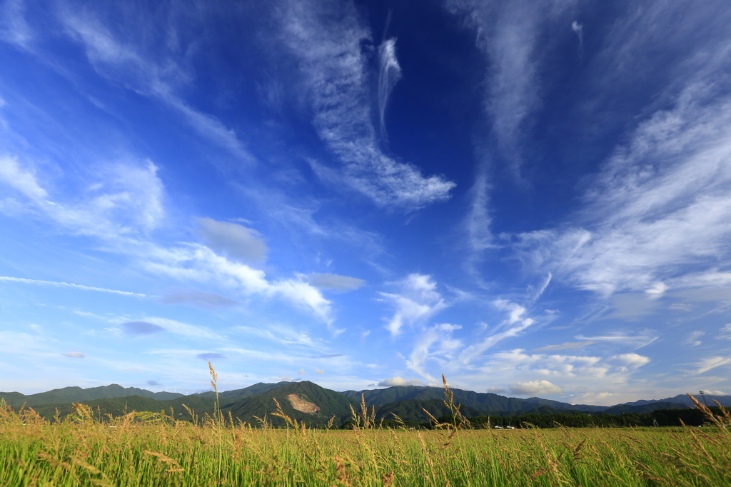 さまざまな雲達