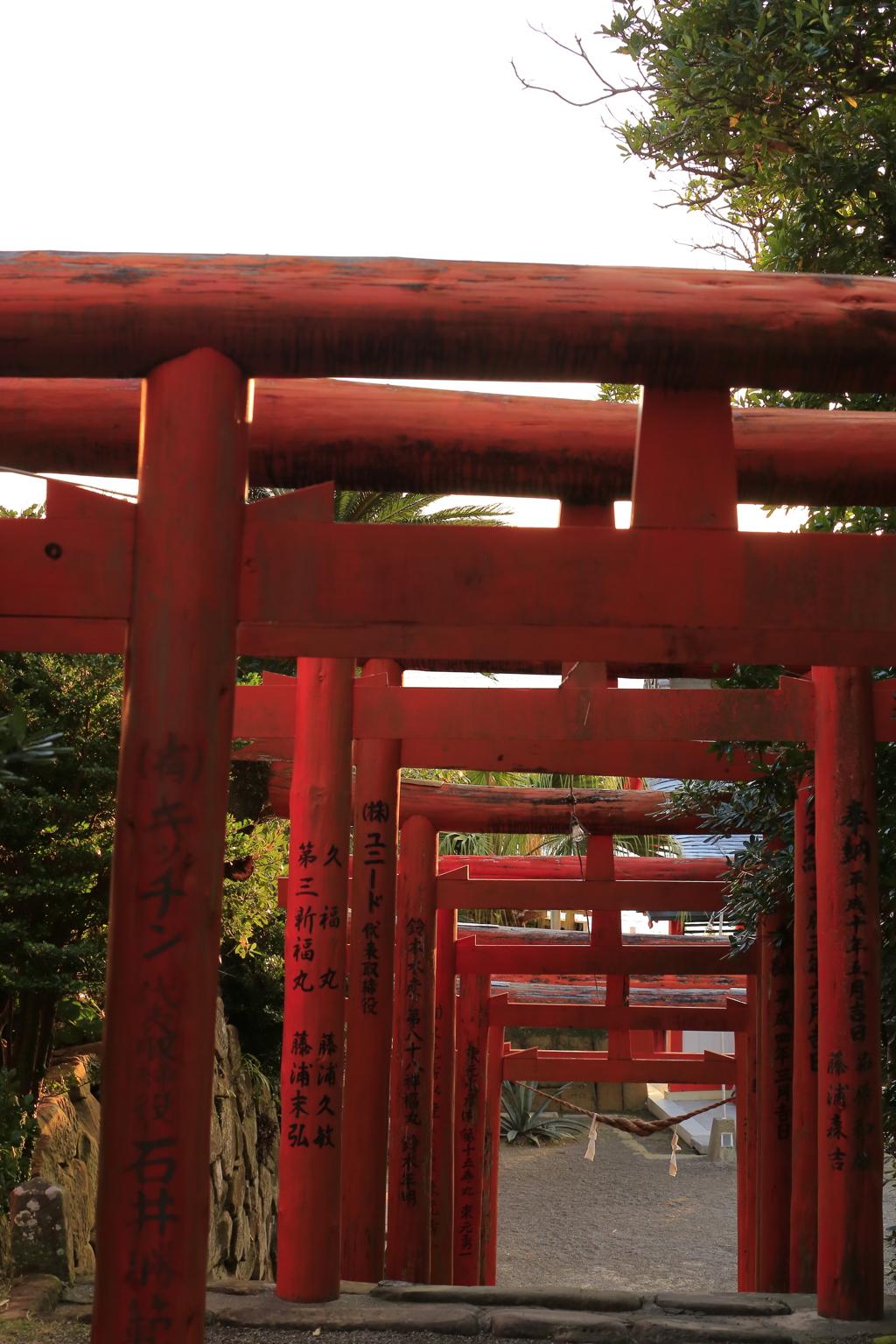 連なる鳥居
