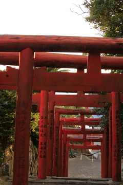 連なる鳥居