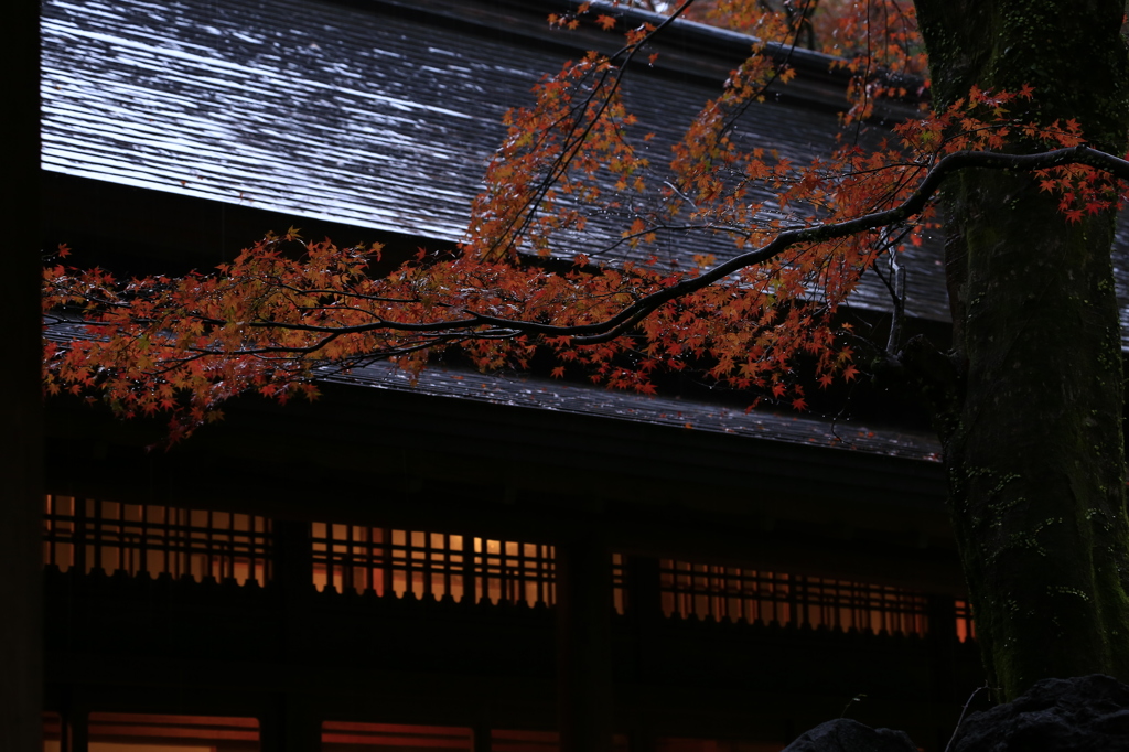 霧島神宮の紅葉風景