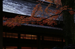 霧島神宮の紅葉風景
