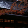 霧島神宮の紅葉風景