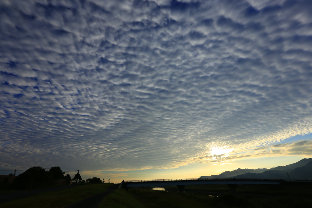 朝の鱗雲