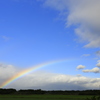 虹でたよ