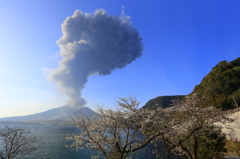 爆発する桜島