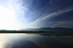 朝の水田にて