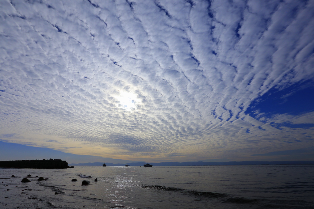 空を覆い尽くす鱗雲