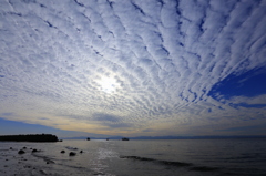空を覆い尽くす鱗雲