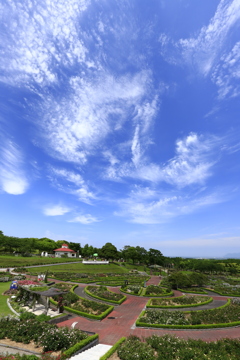 青空の様々な雲
