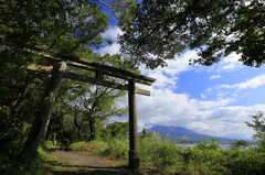 鳥居×桜島