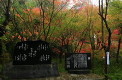歌碑と紅葉