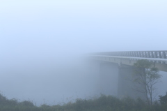 異世界への架け橋