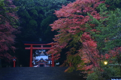 霧島神宮秋の装い