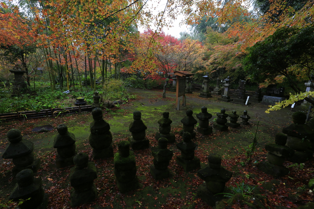 隠れた紅葉地