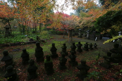 隠れた紅葉地