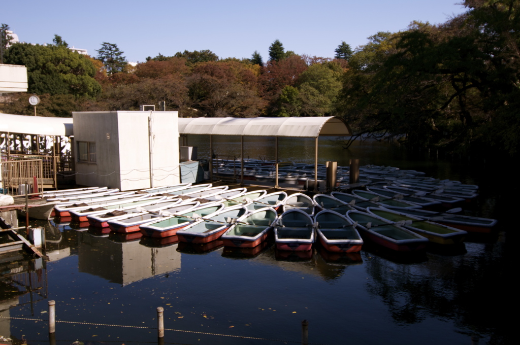 井の頭公園にて