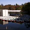 井の頭公園にて